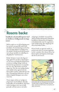 Rosens backe - Linkoping.se
