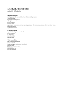 muskelfysiologi