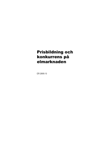 Prisbildning och konkurrens pa elmarknaden ER 2006 13