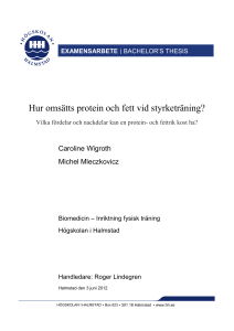 Hur omsätts protein och fett vid styrketräning?