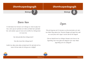 Utomhuspedagogik Utomhuspedagogik Bara ben Ögon