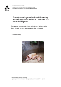 Prevalens och genetisk karaktärisering av Afrikansk