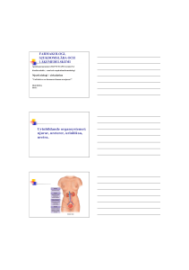 Njurfysiologi (pdf-handouts)
