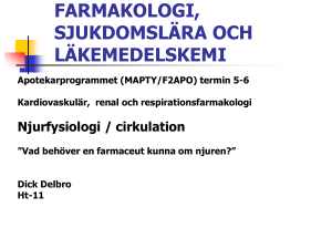 Njurfysiologi (ppt-bildspel)