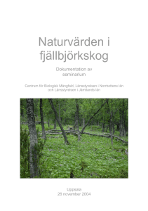 Naturvärden i fjällbjörkskog