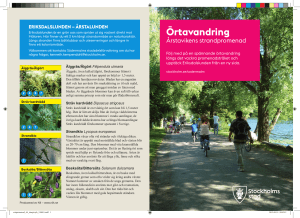 Örtavandring
