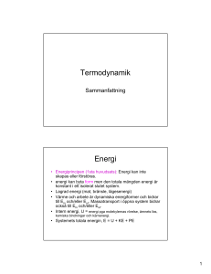 090924 TERMO sammanfattning