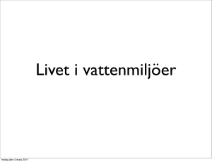 fredag den 4 mars 2011