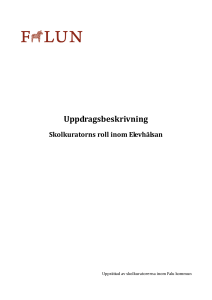 Uppdragsbeskrivning