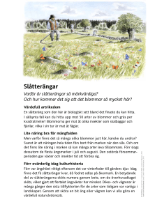 Slåtterängar - Upplandsstiftelsen