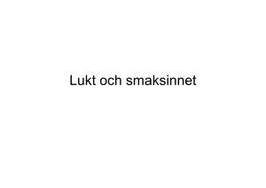Lukt och smaksinnet