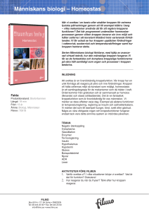 Människans biologi – Homeostas