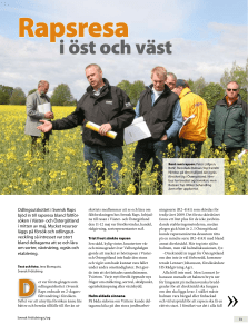 Rapsresa i öst och väst