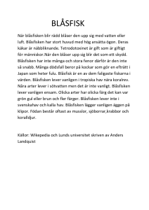 blåsfisk