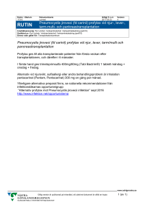 Pneumocystis jiroveci (fd carinii) profylax vid njur-, lever-, tarm