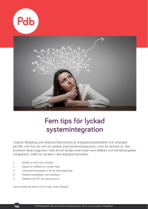 Fem tips för lyckad systemintegration
