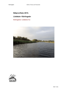Nätprovfiske 2015. Löddeån
