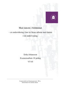 Med datorn i bildämnet