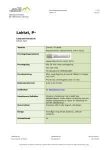 Laktat, P