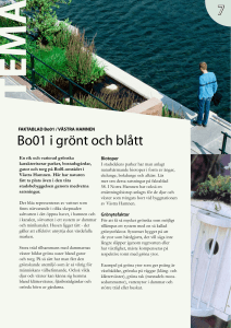 Bo01 i grönt och blått 7