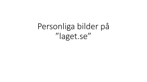 Profilbilder på laget.se