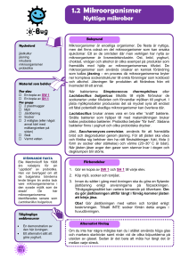Introduktion (TS 1) - e-Bug