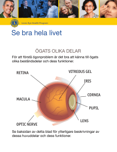 Se bra hela livet - Lions Clubs International