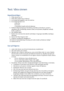b) t.ex. människan, falken, flugan, katt, uggla