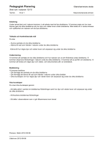 Pedagogisk Planering
