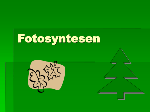Fotosyntesen - Science