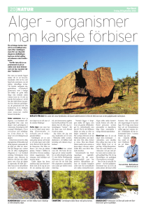 Alger - organismer man kanske förbiser