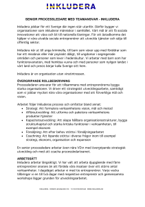 senior processledare med teamansvar