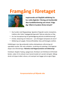Framgång i företaget