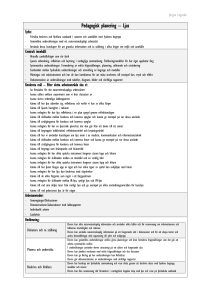 Pedagogisk planering – Ljus
