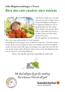 Bara den som vandrar nära marken