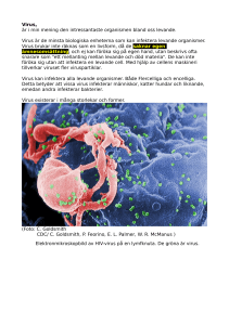 Virus - WordPress.com