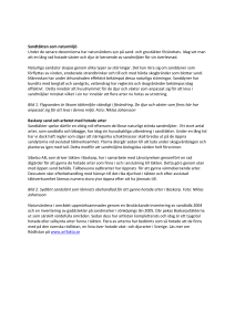 Sandtäkten som naturmiljö