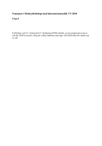 HSV-länk SP-S Molekylärbiologi Ca2+