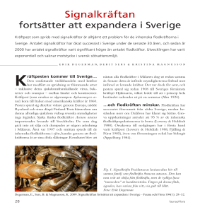 Signalkräftan