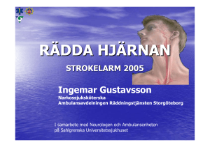 rädda hjärnan pärmen