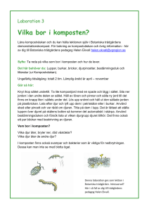 3. Vilka bor i komposten? - Göteborgs botaniska trädgård