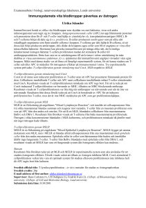 Immunsystemets vita blodkroppar påverkas av