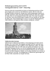 Slottsskogen