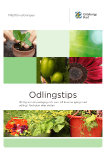 Odlingstips