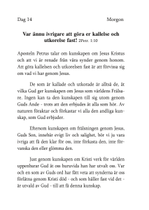 Dag 14 morgon