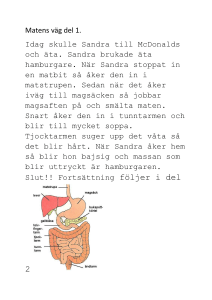 Ida
