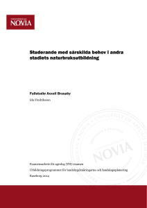 Studerande med särskilda behov i andra stadiets