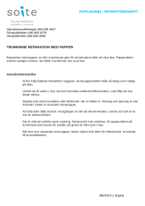 trumhinne reparation med papper
