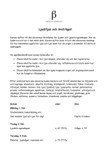 Ljud/ljus och örat/ögat.