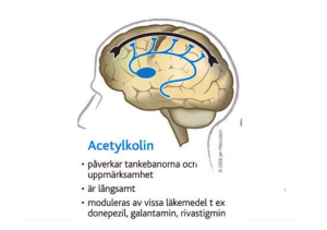 Ulla-Brith Hjelmblink - Behandling och bemötande vid